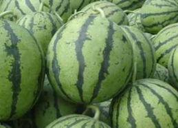 不吃瓜直接吃主食,回归主食真谛