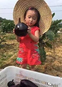 高明吃瓜视频大全最新,盘点娱乐圈最新热点事件