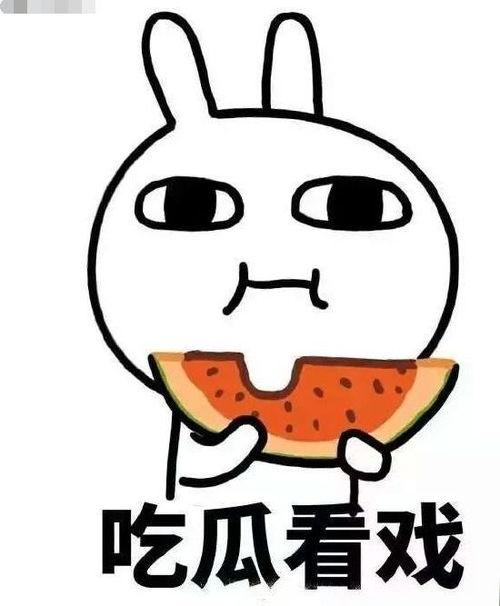 吃瓜磕头,揭秘娱乐圈幕后故事