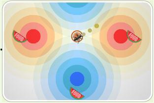 蚂蚁学姐吃瓜,揭秘娱乐圈幕后故事