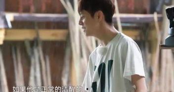 吃瓜女演员陈赫,从吃瓜演员到话题焦点