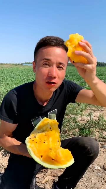 吃瓜吃的好爽,畅享清凉一夏