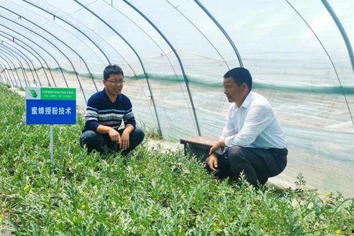 沭阳情侣吃瓜事件,甜蜜瞬间引发网友热议