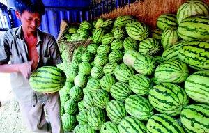 陕西跳舞吃瓜视频,传统与现代的趣味碰撞