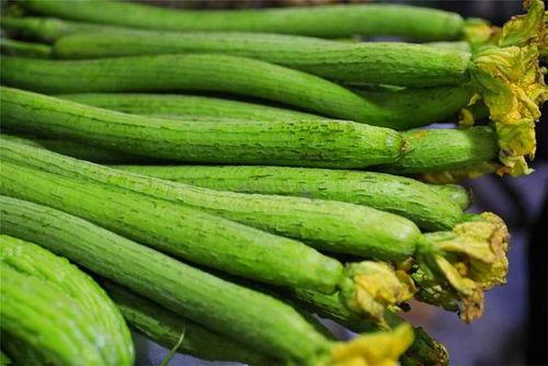 长条的可以带皮吃的瓜,长条可食皮瓜的诱惑之旅