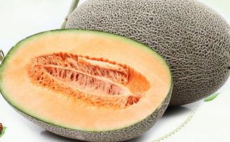 吃哈密瓜为何胃痛,揭秘消化不适的真相