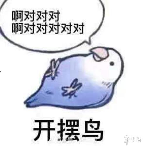 吃瓜后睡不着,揭秘娱乐圈那些不为人知的秘密