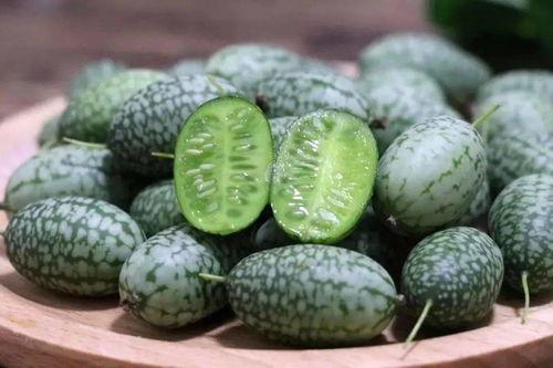 吃火银瓜,神秘果实的奇幻之旅