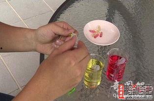 拾尸吃瓜,揭秘网络暴力的暗黑面