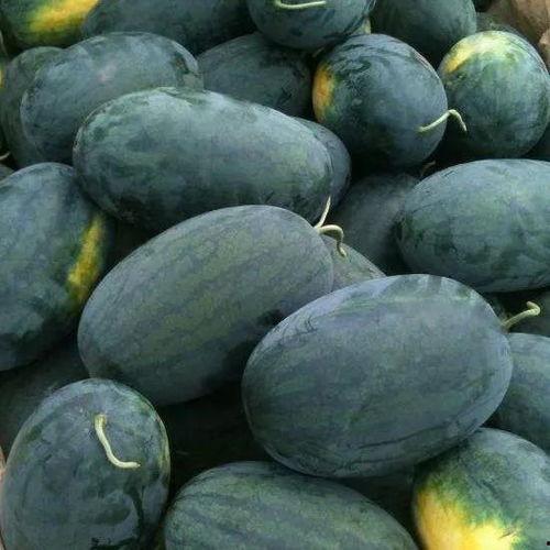 秘宝王瓜怎么吃,解锁古老秘籍，探寻美味食法