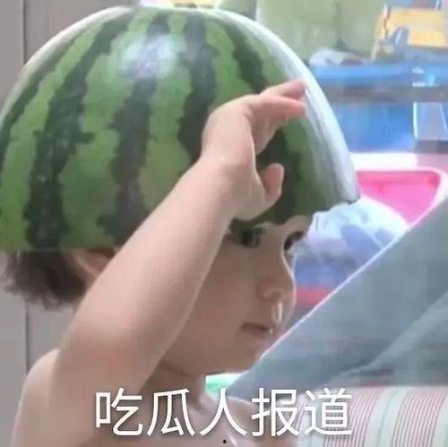 吃瓜文案表情包,揭秘吃瓜文案表情包背后的趣味与智慧