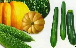 李兴吃瓜,揭秘娱乐圈幕后故事