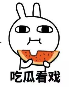 熊本吃瓜图,萌宠美食瞬间，萌态可掬引网友热议