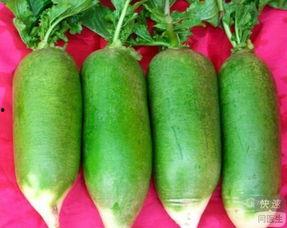 贫血吃方瓜,贫血患者的天然补血佳品