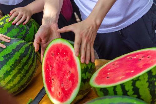 吃瓜网站学校,吃瓜网站带你领略校园生活百态