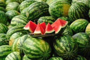 吃瓜表现,揭秘网络舆论场的众生相