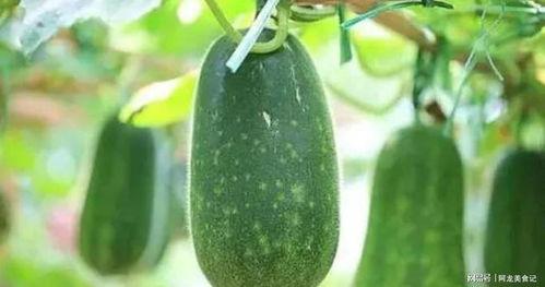 喝中药吃瓜,中药瓜果双效养生之道