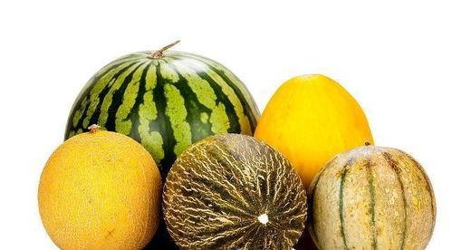 吃瓜的几种类型