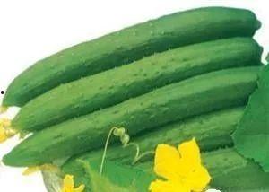 夏天应吃三瓜,三瓜助力清凉一夏