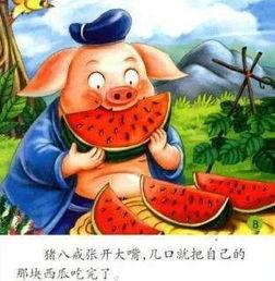 吃瓜群众夏天标配,吃瓜群众必备消暑神器盘点