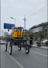 派蒙吃瓜gif,萌宠演绎欢乐瞬间