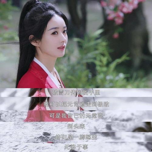 吃瓜追剧皇后,揭秘娱乐圈幕后风云