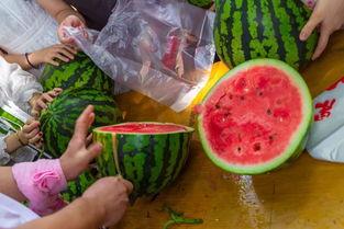 学吃瓜视频,揭秘娱乐圈幕后故事，带你领略明星真实生活