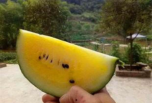 比心吃瓜群,揭秘电竞圈幕后故事