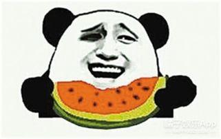 吃瓜群众粉丝19,揭秘网络红人的崛起之路