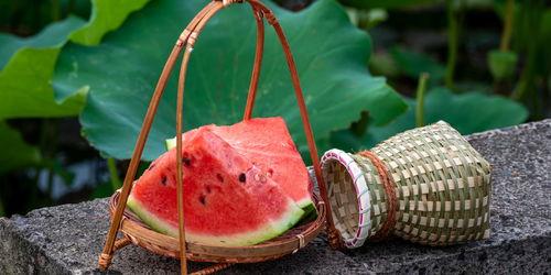 大暑时节吃瓜纳凉