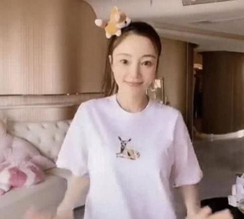 李小璐的吃瓜文件,吃瓜文件背后的真相与争议