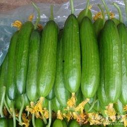 吃瓜电视,吃瓜群众眼中的明星生活