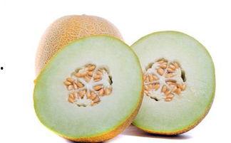 吃哈密瓜声音大吗,声音响亮体验