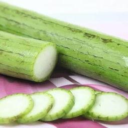 种什么瓜最招虫吃