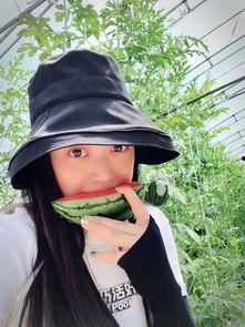 林妹吃大瓜,揭秘美食背后的故事