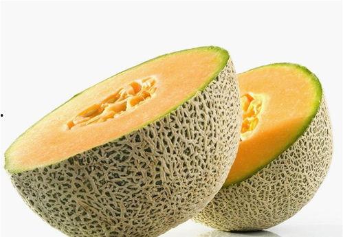 白夜吃哈密瓜