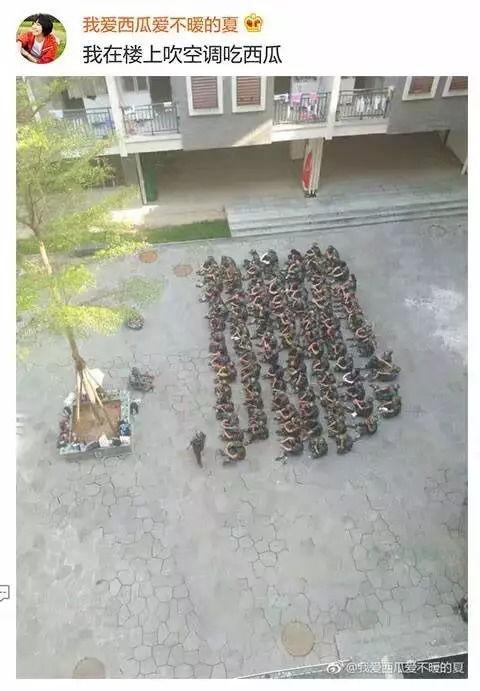 甘肃军训吃瓜事件,揭秘校园食品安全与监管争议